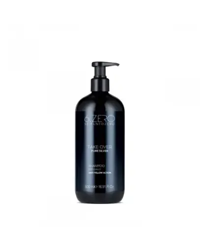 [106225] Take Over Pure Silver Shampoo 500ml
