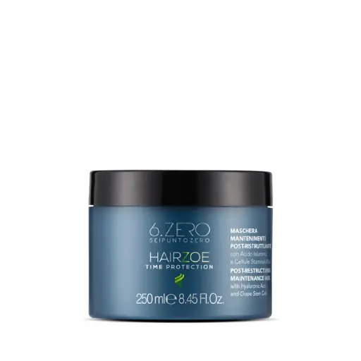 [106276] Hairzoe Maintenance Mask 250ml